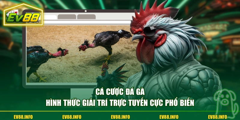 Cá Cược Đá Gà - Sức Hút Từ Tỷ Lệ Kèo Minh Bạch, Cạnh Tranh 1 Cá cược đá gà hình thức giải trí trực tuyến cực phổ biến