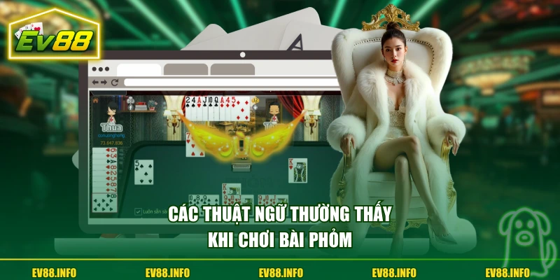 Cách Chơi Bài Phỏm Chi Tiết Từ A-Z Cho Một Ván Cần Nắm 3 Các thuật ngữ thường thấy khi chơi bài phỏm