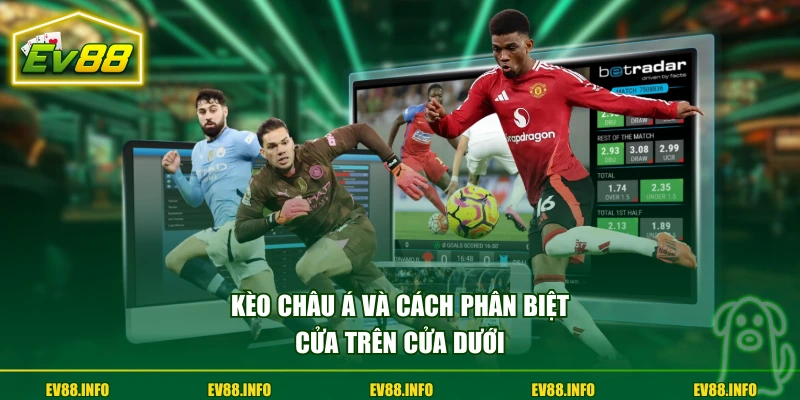 Kèo Châu Á Và Hướng Dẫn Cách Đọc Chuẩn Cho Người Mới 2 Kèo Châu Á và cách phân biệt cửa trên cửa dưới